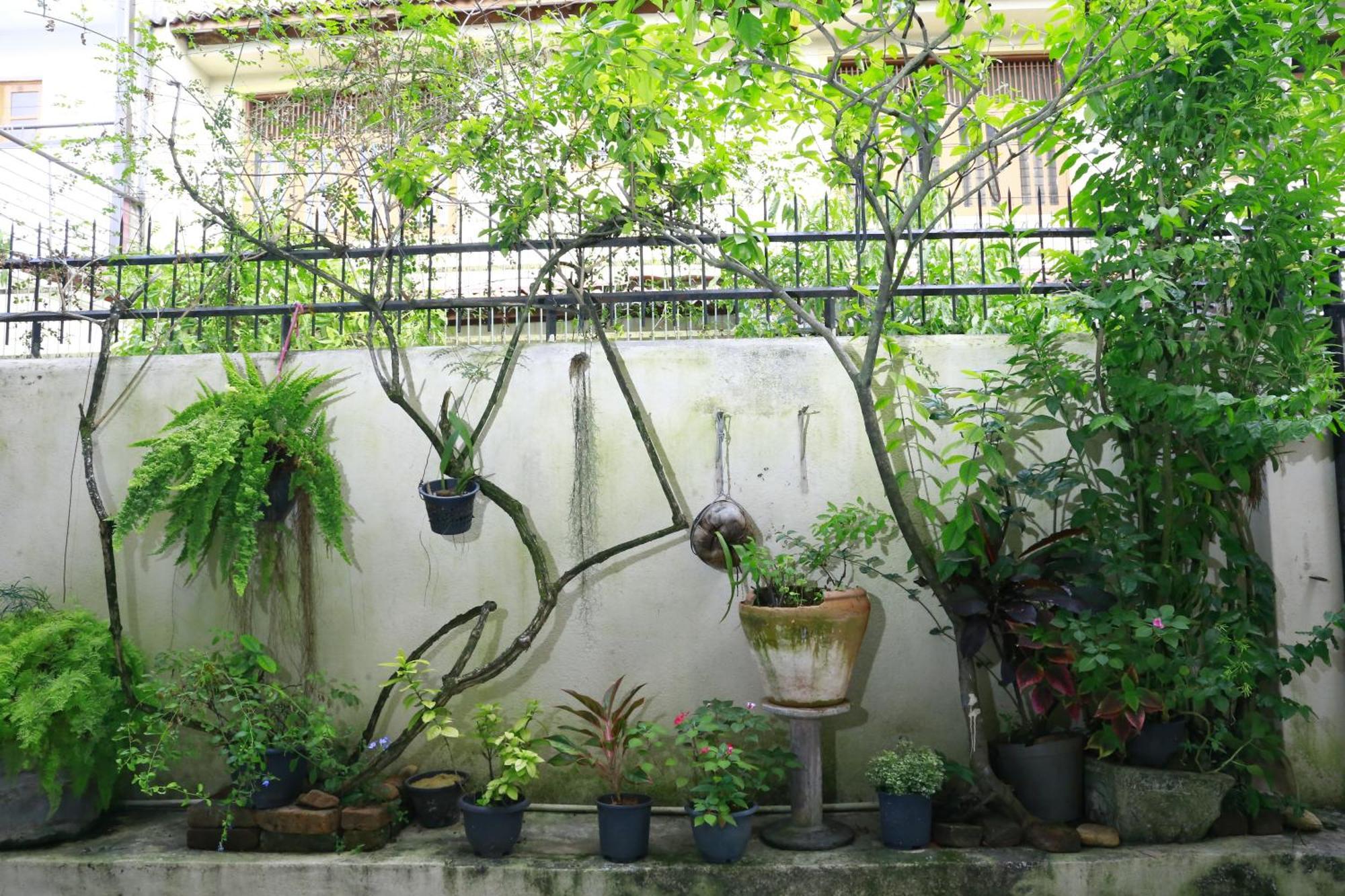 Oasis Colombo B&B 외부 사진